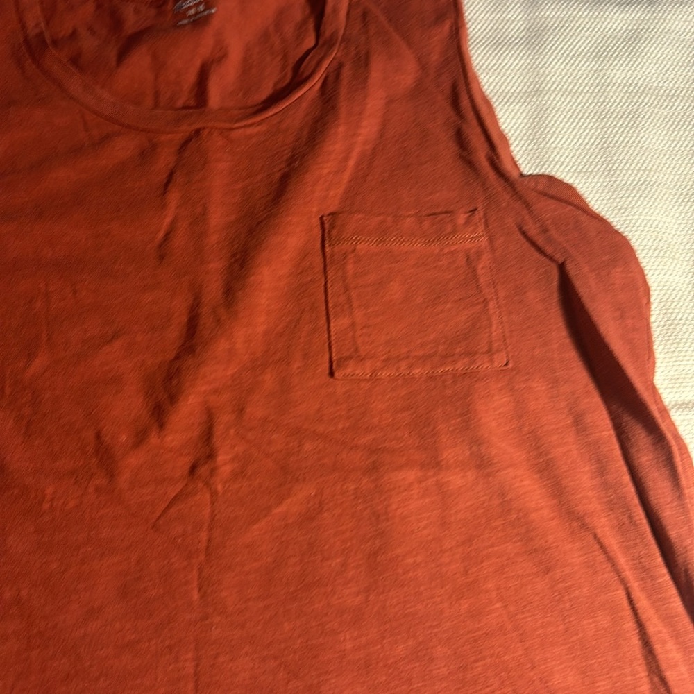 Madewell Tank Tops in Rust, Mauve, and Striped Red - Picture 7 of 14
